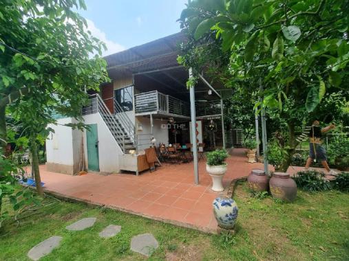 Cho thuê Nhà Vườn ở An Dương 3400m2 đẹp đúng như ảnh về nghỉ dưỡng tuyệt vời