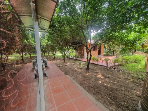 Cho thuê Nhà Vườn ở An Dương 3400m2 đẹp đúng như ảnh về nghỉ dưỡng tuyệt vời