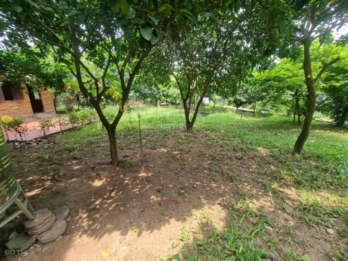 Cho thuê Nhà Vườn ở An Dương 3400m2 đẹp đúng như ảnh về nghỉ dưỡng tuyệt vời