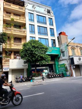 Bán tòa nhà phố Nguyễn Công Trứ 7 tầng vị trí cực đẹp, mặt tiền 6m nở hậu.