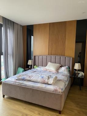 Cho thuê căn hộ chung cư tại Dự án Sun Grand City Ancora Residence, Hai Bà Trưng, Hà Nội diện tíc