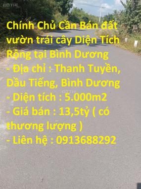 Bán đất tại Xã Thanh Tuyền, Dầu Tiếng, Bình Dương diện tích 5000m2