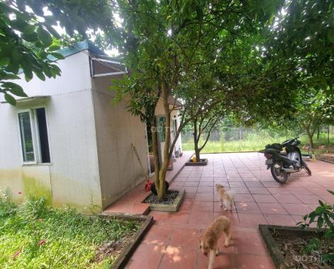 Cho thuê nhà Vườn An dương 3300m2 đẹp đúng như ảnh ở làm homestay