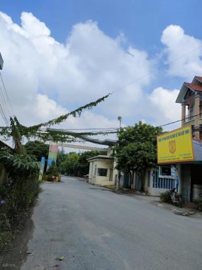 Giảm giá đất mặt đường quốc lộ 31, chia lô, ô tô, kinh doanh 130m, mặt tiền 5m, 680 tr Bắc Giang.