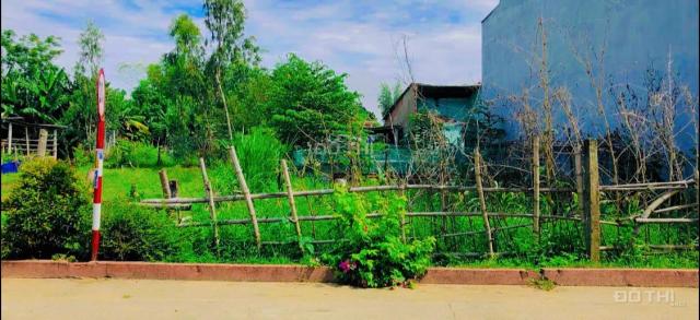 Lô đất nền Phú Mỹ Trục chính ,-Đại Hiệp,Đại Lộc ,Quãng Nam. Gía 390 triệu. Diện tích 113 m2. Liên h