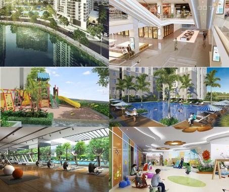 Cho thuê gấp căn hộ Q2 Fraser Thảo Điền, 100m2, 3PN, view sông, không nội thất