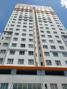 HOT- 2,1 tỷ- CC Bông Sao B P5 Q8 –  2PN 65,7m2 đã có shr  gần trường TH Hoàng Minh Đạo, hỗ trợ NH