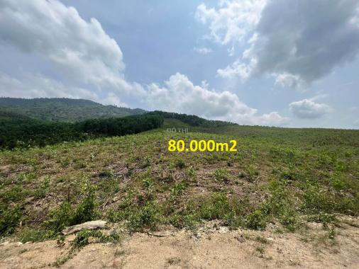 Bán 8 hecta đất mặt tiền hơn 300m đường betong gần trung tâm huyện Khánh Vĩnh LH 0788.558.552