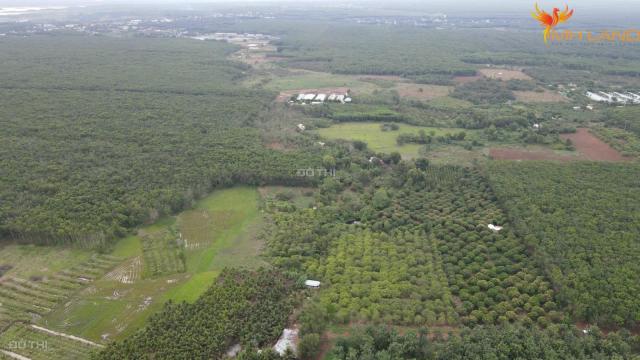Bán 1 hecta , hoà bình, xuyên mộc, BRVT
