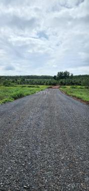 Bán 1 hecta , hoà bình, xuyên mộc, BRVT
