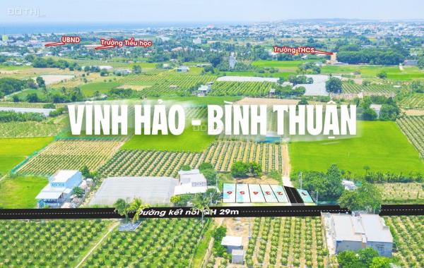 SỞ HỮU ĐẤT NỀN VEN BIỂN NGAY NÚT GIAO CAO TỐC PHAN THIẾT - VĨNH HẢO CHỈ VỚI 800TR ĐỒNG