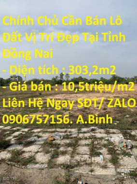 Bán đất tại Xã An Phước, Long Thành, Đồng Nai diện tích 303m2
