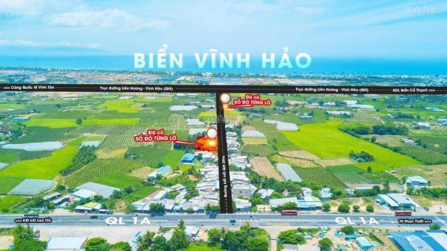 Đất nền tại Phước Thể, Bình Thuận - Đầu tư tuyệt vời cho tương lai của bạn