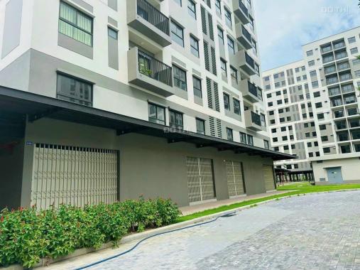 Bán Shophouse kinh doanh giá tốt , chiết khấu 5.5%, cam kết thuê lại