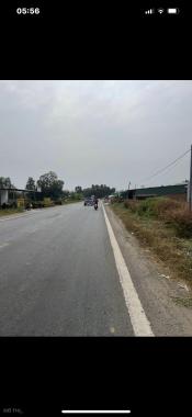 Đất mặt tiền đường 818 thị trấn Thủ Thừa huyện Thủ Thừa Long An