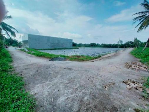 Bán đất nền dự án tại Xã Mỹ Khánh, Phong Điền, Cần Thơ
