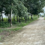 Cô tôi cần bán đất ngộp 1000m2 giá chỉ 350 triệu ngay trung tâm, sổ sẵn