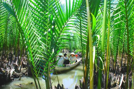 Bán lô góc mặt tiền đường Mỹ Trà Mỹ Khê ngay Khu du lịch sinh thái rừng dừa nước Tịnh Khê