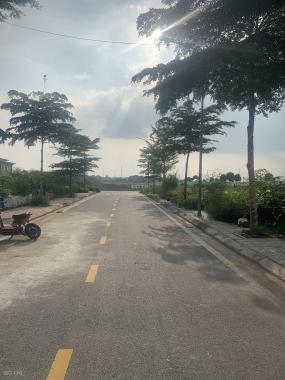 Bán cắt lỗ đất đấu giá phân lô tiểu khu Nguyễn Du. Đất đẹp kinh doanh tốt giá siêu hot