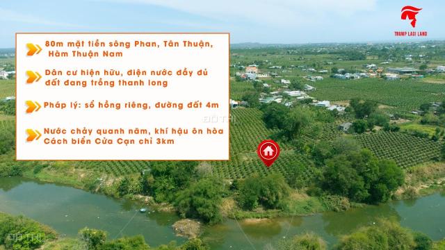 Bán Gấp 2034m mặt tiền Sông Phan, Hàm Thuận Nam, Bình Thuận. Giá NGỢp, sổ riêng