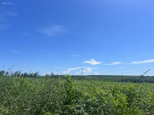 Bán 4.2 mẫu đất GIÁ RẺ Tân Xuân - Huyện Hàm Tân 1.1 tỷ/ mẫu, gần KDC