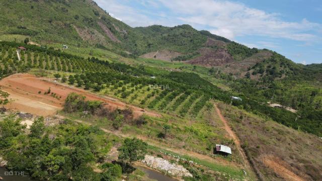 Bán đất 75.000m2 đường oto xã Khánh Phú, Khánh VĨnh làm vườn trái cây giá rẻ LH 0788.558.552