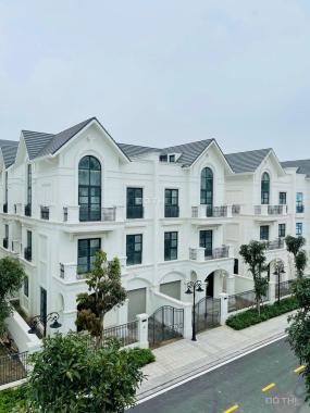 Biệt thự song lập RẺ nhất Vinhomes Ocean Park Gia Lâm - Giá chỉ nhỉnh 20 tỷ