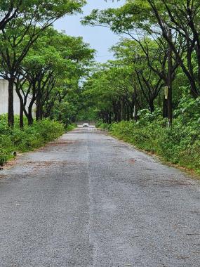 Cần Bán Lô Đất TĐC Khu Trung Tâm Hòa Ninh 2, Hòa Vang, Đà Nẵng