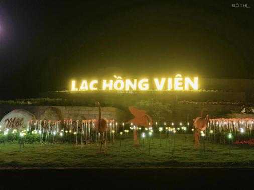 KHÔNG GIAN LUNG LINH LẠC HỒNG VIÊN HOÀ BÌNH