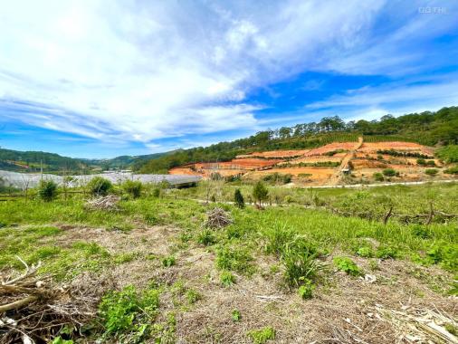 CHÍNH CHỦ BÁN RẺ LÔ ĐẤT 952m2 xã Đạ Sar, Lạc Dương, Lâm Đồng chỉ 2 tỷ. LH 0903187589