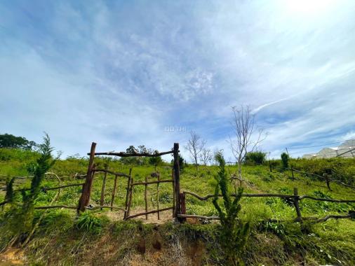 CHÍNH CHỦ BÁN RẺ LÔ ĐẤT 952m2 xã Đạ Sar, Lạc Dương, Lâm Đồng chỉ 2 tỷ. LH 0903187589