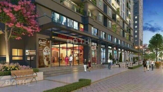 Bán shophouse căn góc 2 tầng Grand Center Quy Nhơn, mặt bằng kinh doanh sở hữu lâu dài.