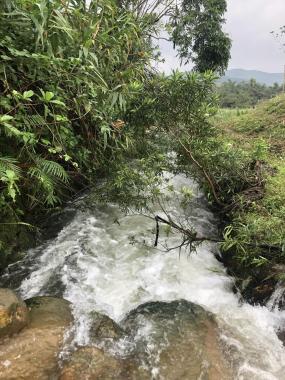 Cần bán đất trang trại tại Hòa Phú, Hòa Vang, Tp Đà Nẵng