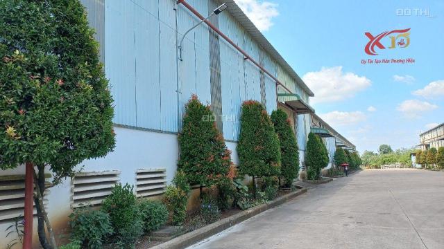 Thuê kho xưởng gần KCN Tam Phước Long Thành Đồng Nai 3đô/m2(X259) + Diện tích  :  1.450m2 ; 2.900 m