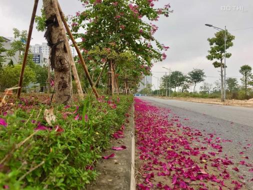 Chính chủ gửi bán liền kề góc vườn hoa đường 46m KDT Thanh Hà