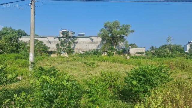 Bán 1445m2 đất RẺ NHẤT Ngô Tất Tố, Tân Phước, thị xã LaGi Gần biển Cam Bình