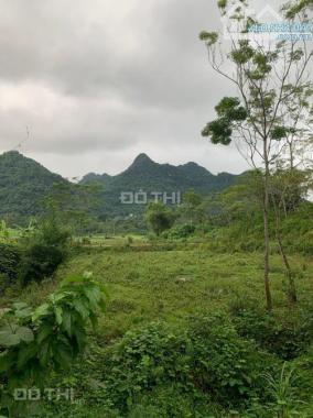 👉 Hot: ( 1.5 Tỷ) 3437m Có 2570m Đất Ở, 867m Vườn, Có 2 Ao Đẹp, View Cánh Đồng