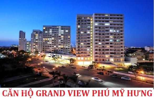 Bán căn hộ Grand View block B Phú Mỹ Hưng q7 giá chỉ từ 5.6 tỷ