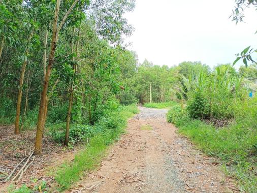 Bán đất 41.000m2 làm nhà vườn, nhà kính, trang trại chăn nuôi xã Khánh Nam, Khánh Vĩnh giá rẻ