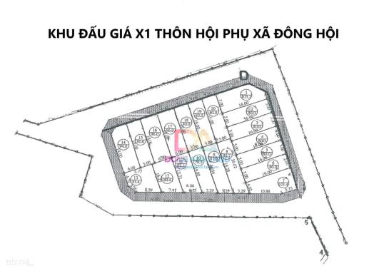 Bán đất đấu giá X1 Hội Phụ Đông Hội Đông Anh - Lô góc đường 25m