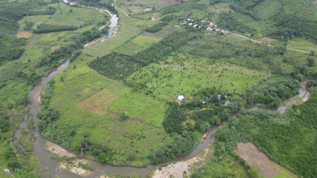 Bán vườn trái cây làm du lịch sinh thái giáp Sông hơn 1km rộng 15 hecta huyện Khánh Vĩnh, Khánh Hoà