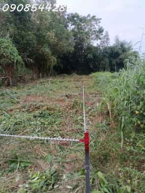 Chính chủ cần bán nền đất full thổ cư tại xã Phú Điền, Tân Phú, Đồng Nai