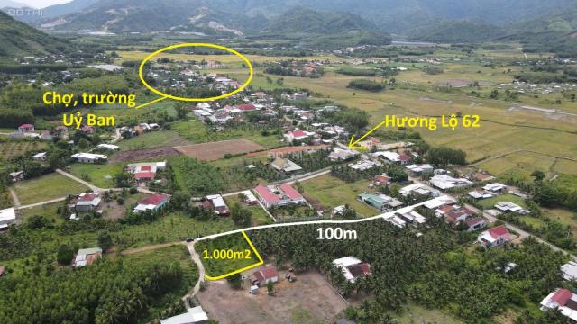 Bán đất 1.000m2 qh full thổ cư có sẵn vườn trái cây trung tâm xã Diên Tân, Diên Khánh