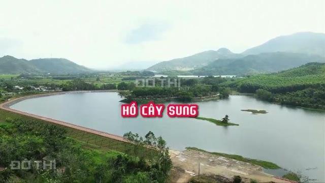 Bán đất view Hồ Cây Sung rộng 14.000m2 xã Diên Tân, Diên Khánh giá chỉ 850tr LH 0788.558.552