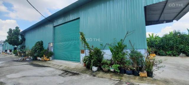 Cần cho thuê Kho Xưởng đường TX33, Phường Thạnh Xuân, Q.12