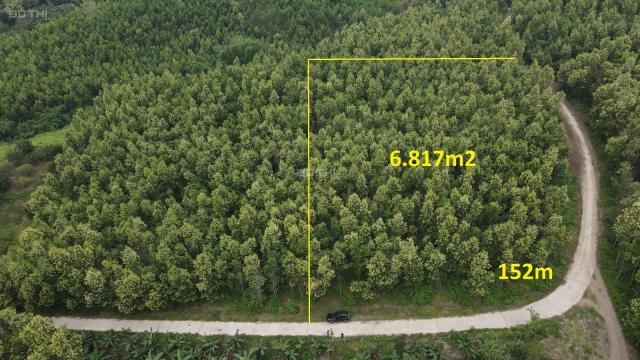 Bán đất mặt tiền 150m ngang rộng 6.800m có sẵn keo 2 năm tuổi xã Khánh Nam, Khánh Vĩnh giá rẻ
