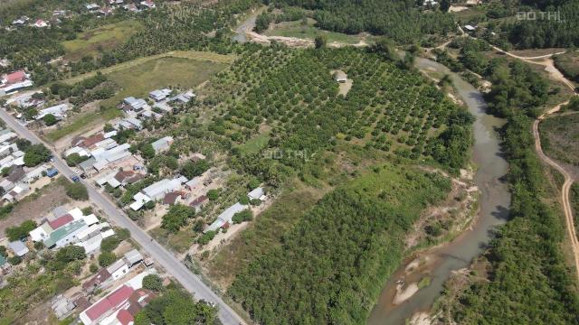Bán vườn Bưởi giáp Sông rộng 2 hecta có thổ cư đường nhựa Tỉnh Lộ 8 xã Khánh Đông, Khánh Vĩnh