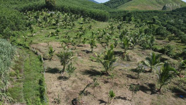 Bán đất tặng vườn Dừa giá chỉ 87k/m2 rộng 7.400m2 gần uỷ ban xã Khánh Trung, Khánh Vĩnh