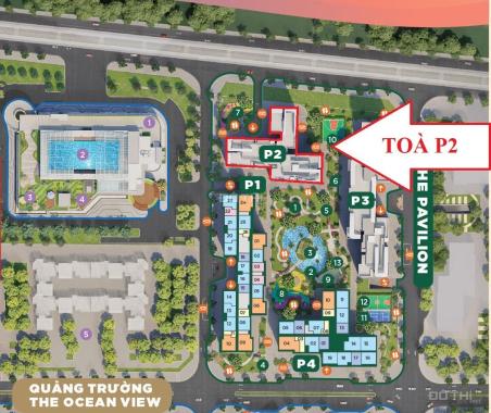 CC bán cắt lỗ căn hộ P2-318 45m2 Pavillon, Ocean Park Gia Lâm, Hà Nội giá chỉ 1,7 tỷ