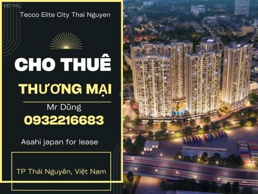 Cho thuê cửa hàng, ki ốt tại Dự án Tecco Elite City, Thái Nguyên, Thái Nguyên diện tích 3000m2 giá 